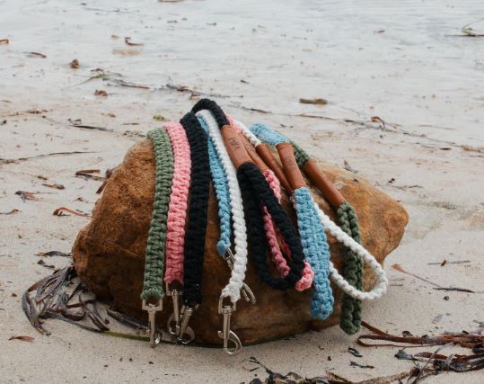 Vali Lifestyle Leads