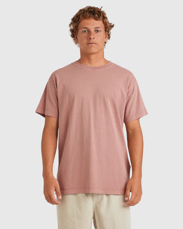 Billabong Premium Wave Washed Tee - Dusty Rose