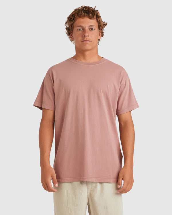 Billabong Premium Wave Washed Tee - Dusty Rose