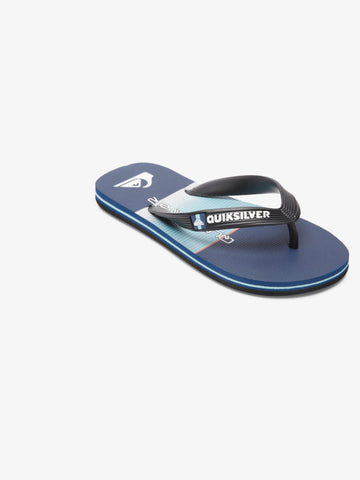 Quiksilver Molokai Point Break Boys Thongs