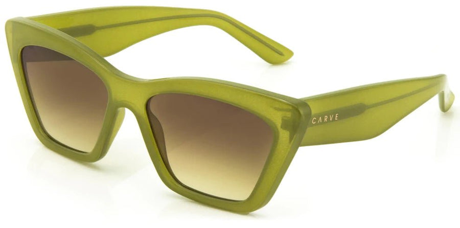 Carve Tahoe - Coastal Life Surf Supply CoCARVE